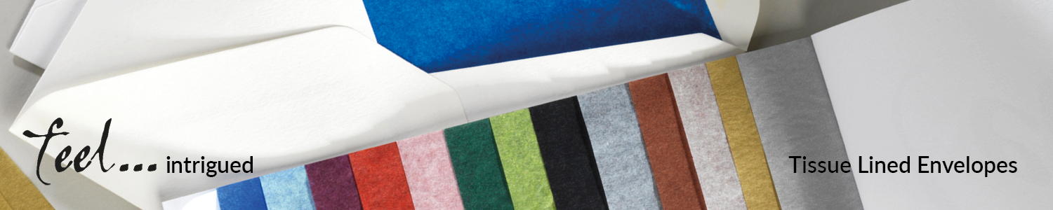 Feel Intrigued Tissue Lined Envelopes