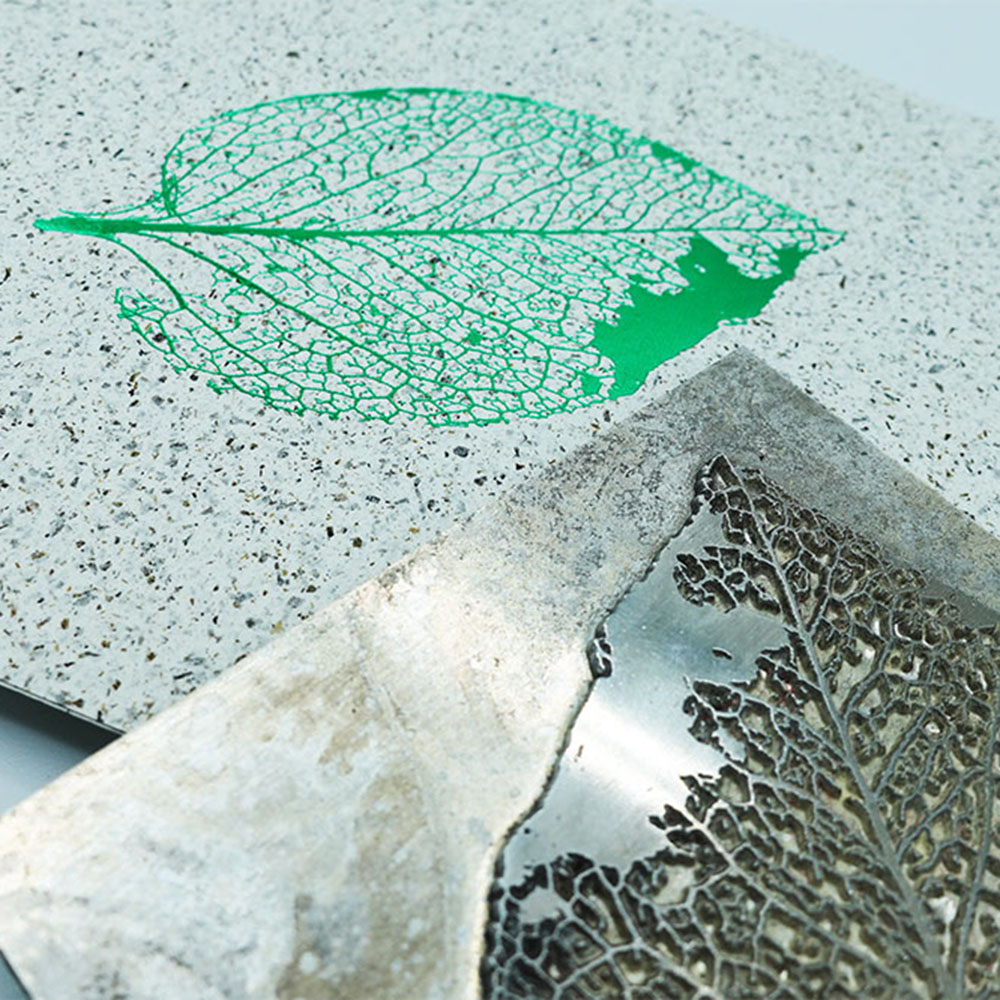 bb notpla leaf square